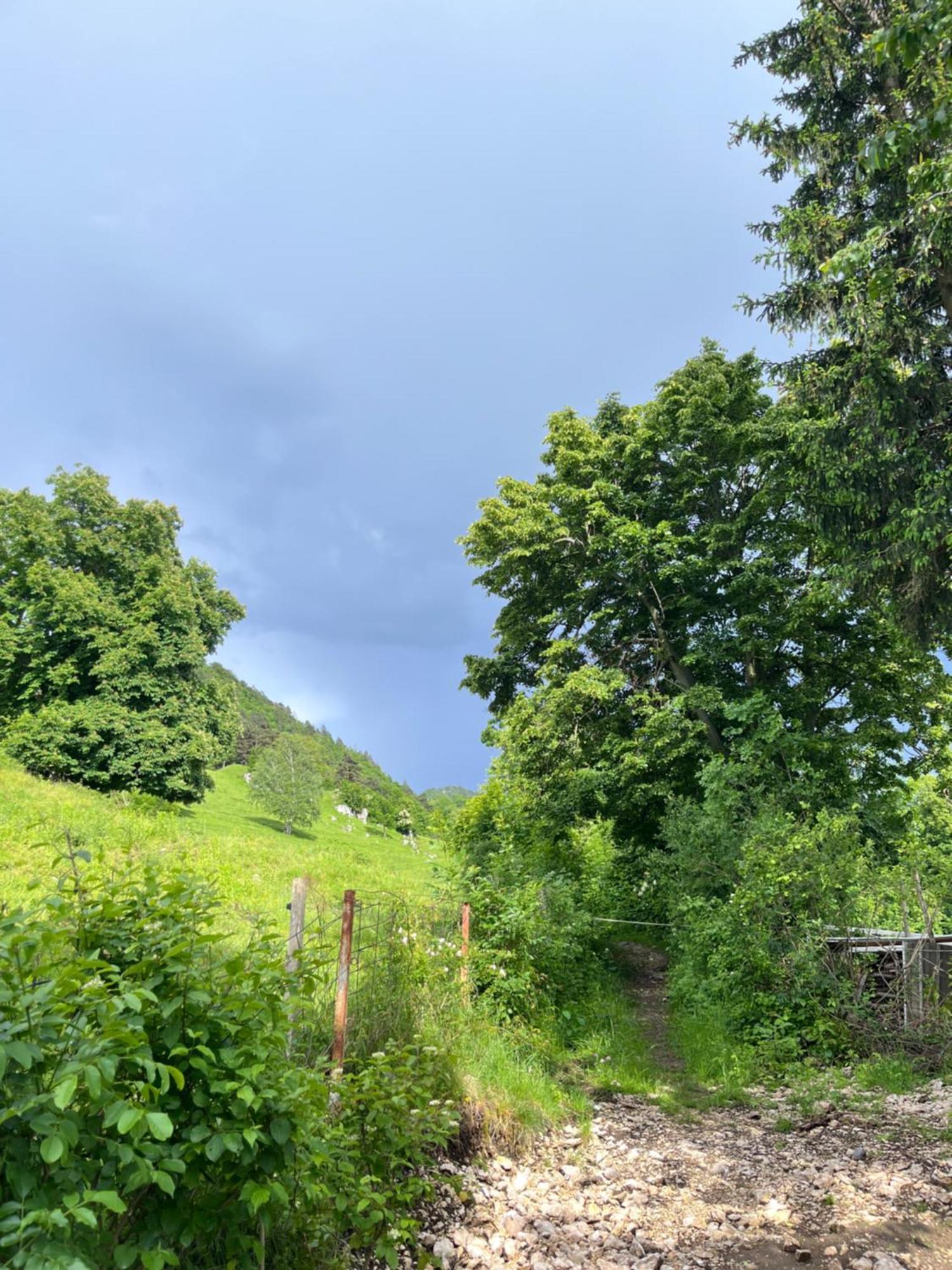 Cottage 지로브니차 외부 사진