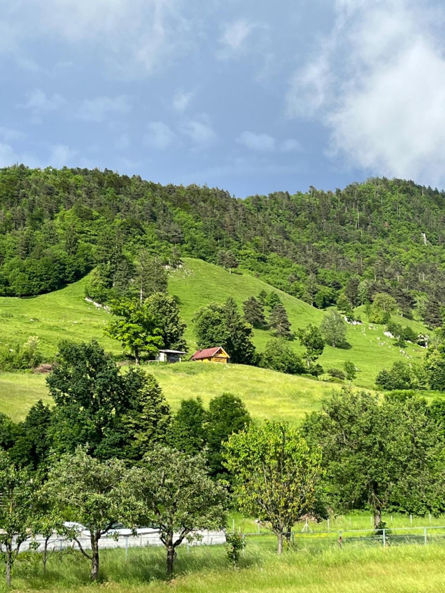 Cottage 지로브니차 외부 사진