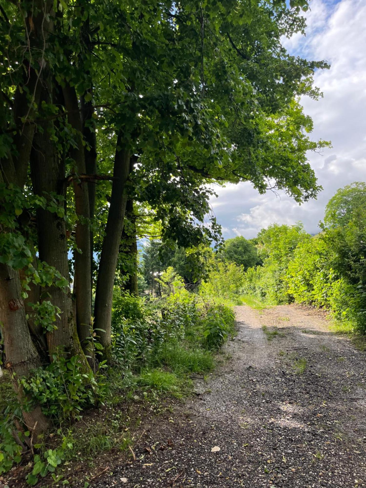 Cottage 지로브니차 외부 사진