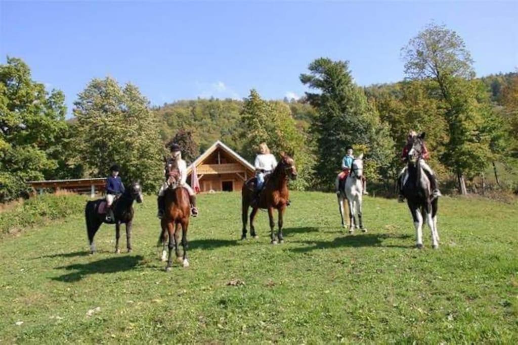 Cottage 지로브니차 외부 사진